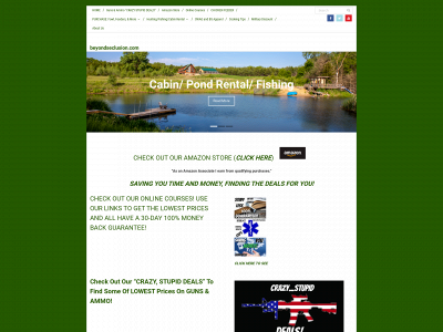 beyondseclusion.com snapshot