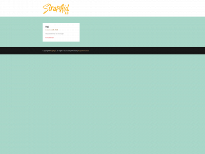 strapaid.com snapshot