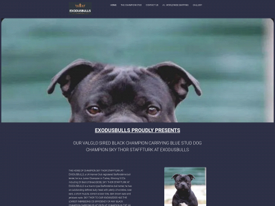 exodusbulls.co.uk snapshot