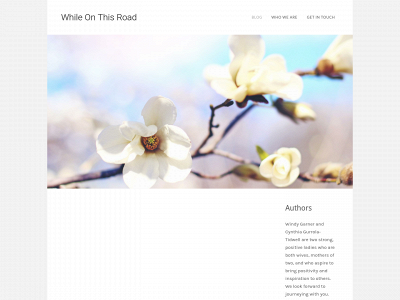 whileonthisroad.com snapshot