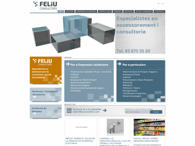 www.feliuconsultors.com snapshot