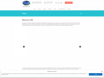 tandnreliable.com snapshot