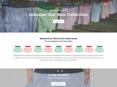 www.theoandco.be snapshot