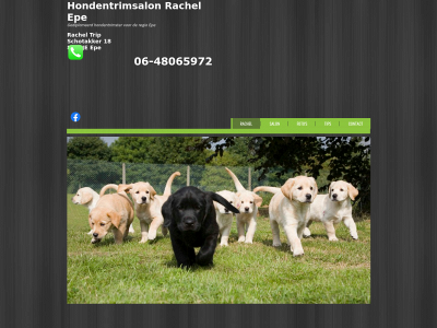 hondentrimsalonrachel.nl snapshot