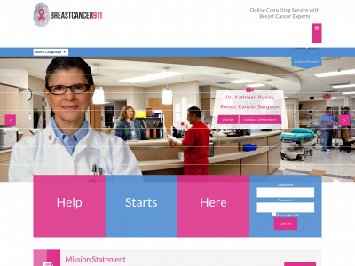 breastcancer911.com snapshot