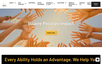 brighterviewfoundation.org snapshot