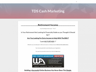 tdscashmarketing.com snapshot
