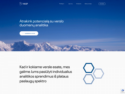 vasp.lt snapshot