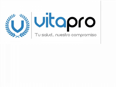 vitapro.com.gt snapshot