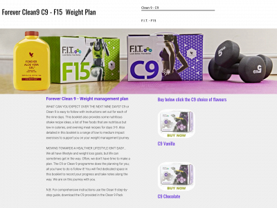 9dayweightplan.co.uk snapshot