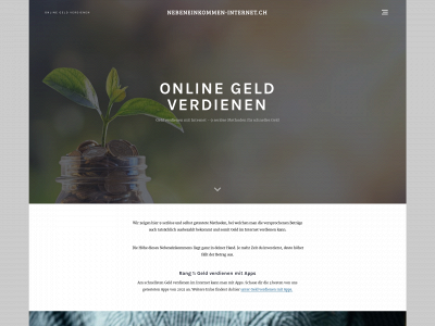 nebeneinkommen-internet.ch snapshot