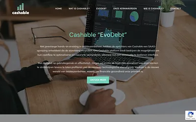 cashable-cm.com snapshot
