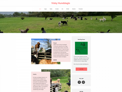 visbyhunddagis.se snapshot