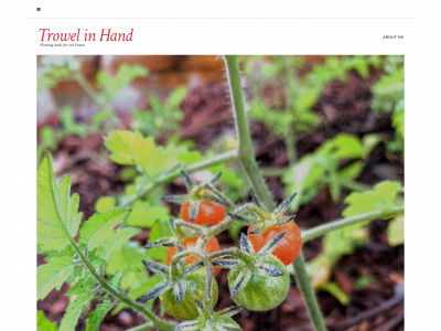 trowelinhand.com snapshot