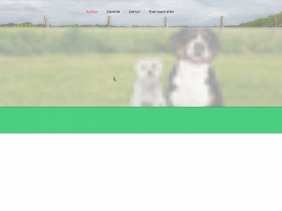 huisdierenverzorging.com snapshot