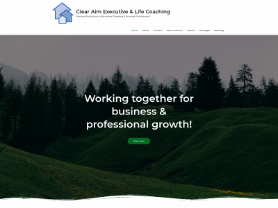 clearaimnj.com snapshot