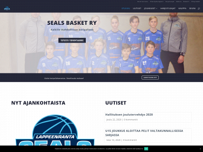 sealsbasket.fi snapshot