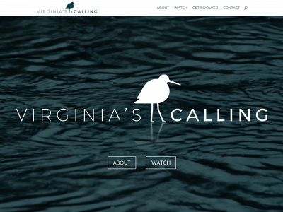 virginiascalling.org snapshot
