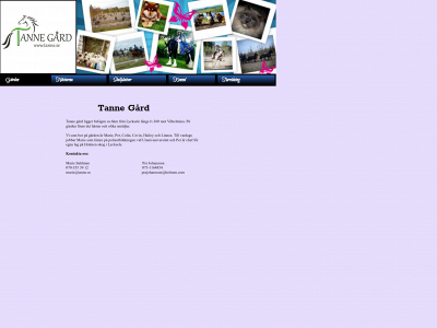 tanne.se snapshot