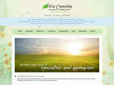 ariacounselingmn.com snapshot