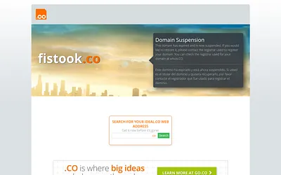 fistook.co snapshot