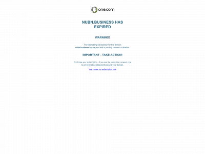 nubn.business snapshot