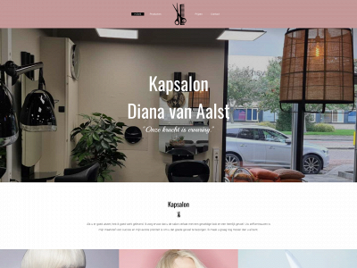 dianakapsalon.nl snapshot