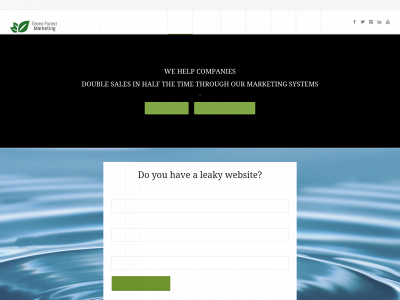 greenforestmarketing.com snapshot