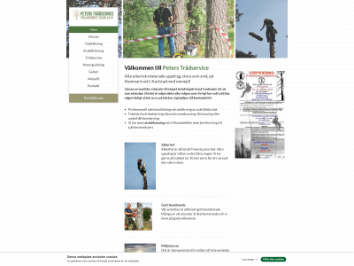 peterstradservice.se snapshot