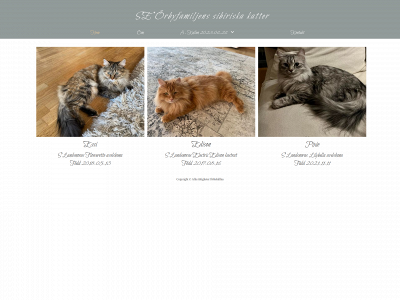 orbyfamiljens.se snapshot