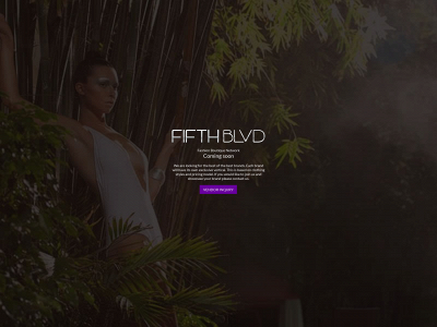 fifthblvd.com snapshot