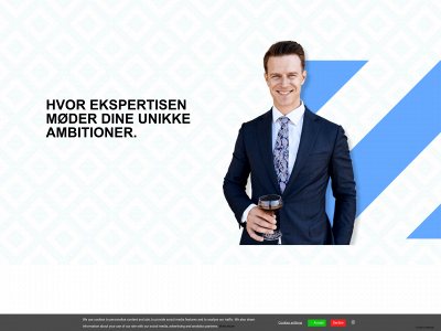 spitzeconsulting.dk snapshot