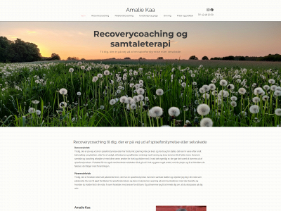 amalieterapi.dk snapshot