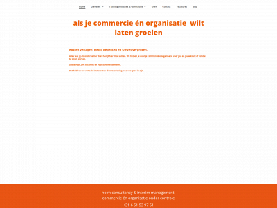holmconsultancy.nl snapshot