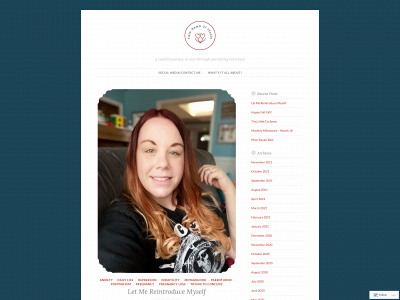 twinmamaofsteele.com snapshot