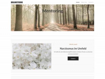 brainstudio.ch snapshot