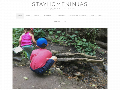 stayhomeninjas.com snapshot