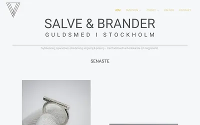 salvebrander.se snapshot