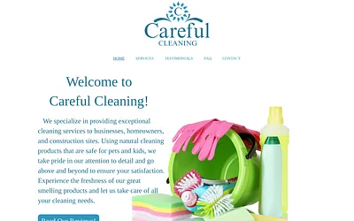 carefulcleaning.co snapshot