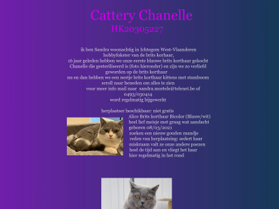 catterychanelle.be snapshot