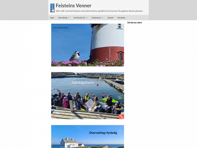 feisteinfyr.com snapshot