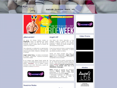 angelsnp.com snapshot