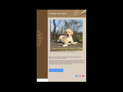 labradorsuithetbetuwseveld.nl snapshot