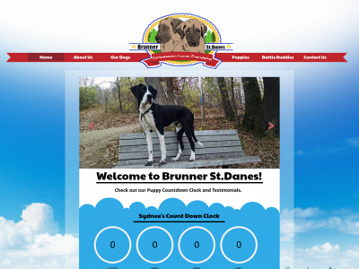 brunnerstdanes.com snapshot