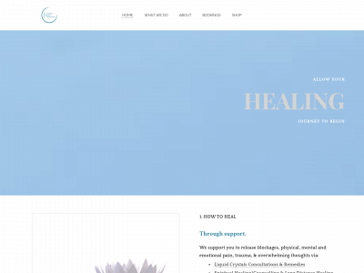 www.thesydneyhealingtherapycentre.com.au snapshot