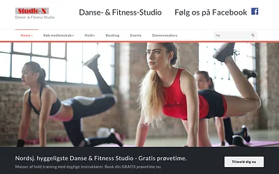 studio-x.dk snapshot