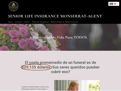 seniorslifeagent.com snapshot
