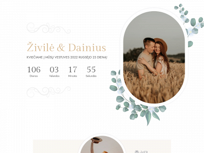 zivileirdainius.lt snapshot