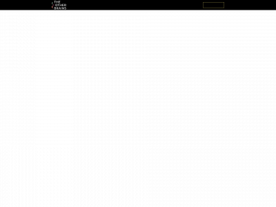 brainflow.dk snapshot