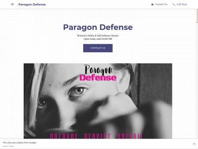 paragonselfdefense.com snapshot
